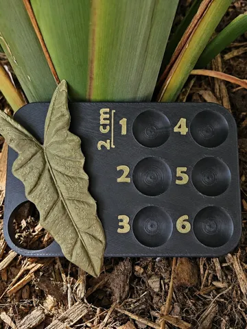 Modelo para impresión 3D: Rhizomboard mit 2-cm-Maßstab — vista de referencia 2