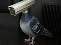 Camera Pigeon