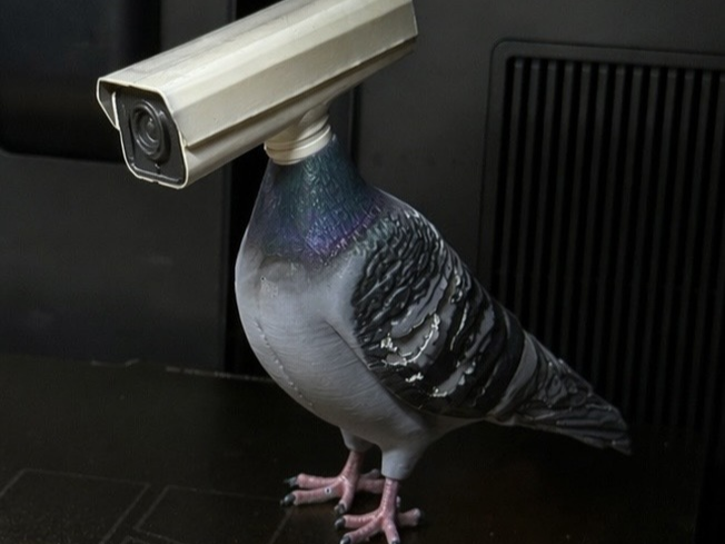 CCTV Camera Pigeon Meme | 3D Print STL