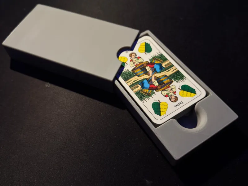 Kartenbox / Kartenetui