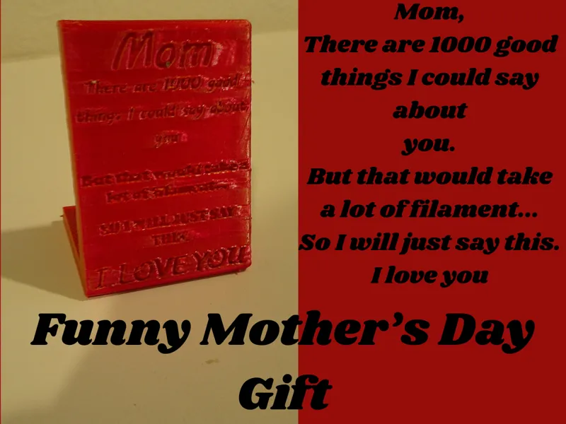 Funny Mother's Day Gift