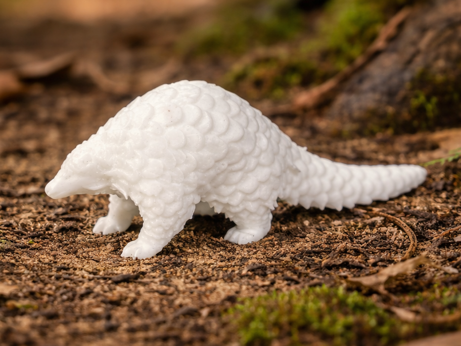 Giant pangolin - Animal