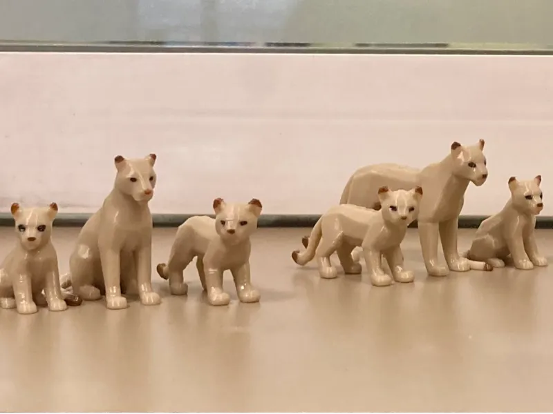 Familias de pumas miniaturas.