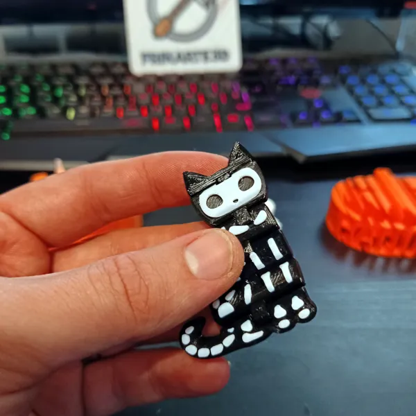 https://makerworld.bblmw.com/makerworld/model/US7b2a78c76f7d04/design/2023-11-02_f04249573917f.jpg