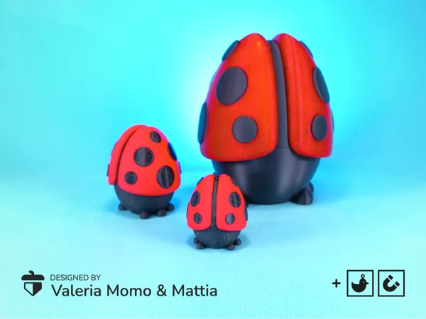 https://makerworld.bblmw.com/makerworld/model/US7b300bce3b589/design/c466a224c6ed3fb2.png