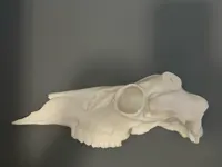 0.2mm layer, 3 walls, 15% infill