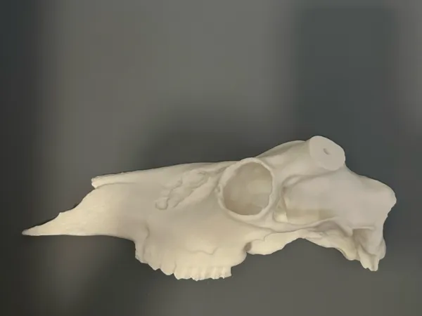 https://makerworld.bblmw.com/makerworld/model/US7b3315c03394c4/design/2025-03-23_1a3f3e4f2531d.jpeg