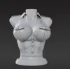 0.08mm layer, 2 walls, 10% infill