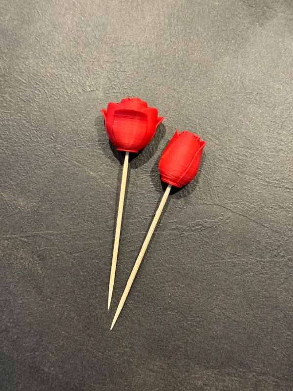 https://makerworld.bblmw.com/makerworld/model/US7b376c0bc775ae/design/2024-01-21_2dfc7be0e6a798.jpg