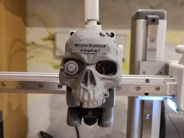 https://makerworld.bblmw.com/makerworld/model/US7b3849c2843df0/design/2024-12-28_d0af3a33e2acd8.jpeg