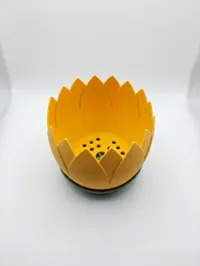 Sunflower and bowl on 2 plate