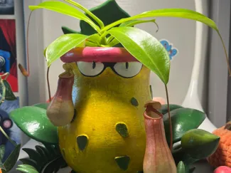 Victreebel Vase Pokemon