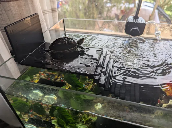 https://makerworld.bblmw.com/makerworld/model/US7b4a6eba430c10/design/2025-07-18_7f7f6d3fdcda08.jpg