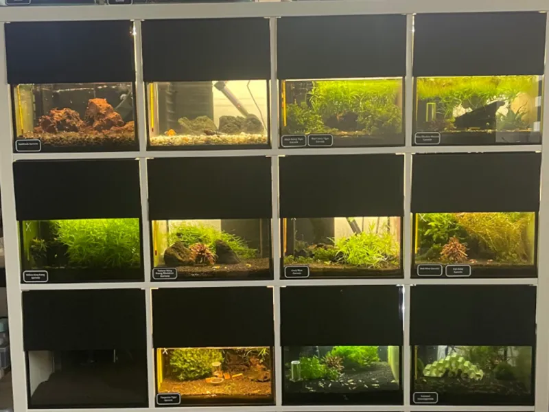 Kallax Abdeckungen Blende 20 & 22cm Aquarium