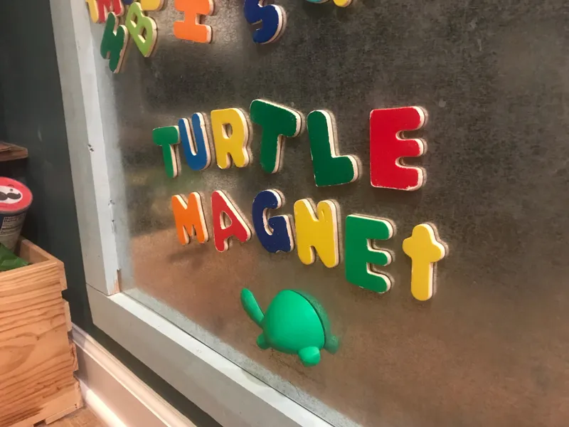 Turtle Magnet