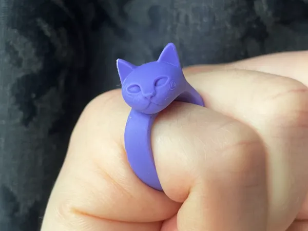 https://makerworld.bblmw.com/makerworld/model/US7b4bdc07b17263/design/2025-07-16_02867333a5c92.jpg