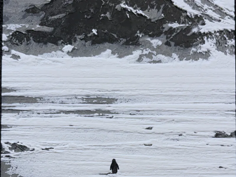Nihilist Penguin