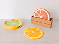 citrus coasters 2-color A1mini