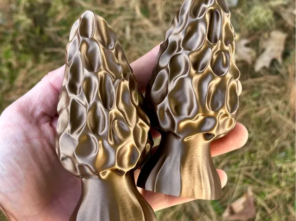 https://makerworld.bblmw.com/makerworld/model/US7b5111efed30e6/design/2025-03-11_0eec40f92b68a.jpg