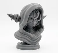 Bust 0.08mm layer, 2 walls, 15% infill