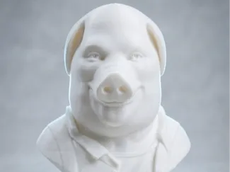 John Pork Bust