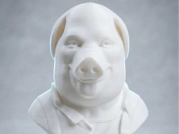 https://makerworld.bblmw.com/makerworld/model/US7b56ea1ef4557a/design/ca41a6f8a1b94589.png
