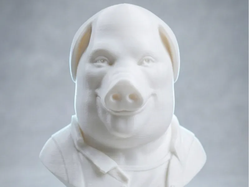 John Pork Bust