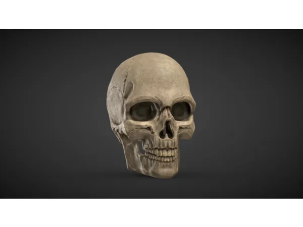 https://makerworld.bblmw.com/makerworld/model/US7b5913254ea925/design/2023-09-25_a6ea47c09c369.png