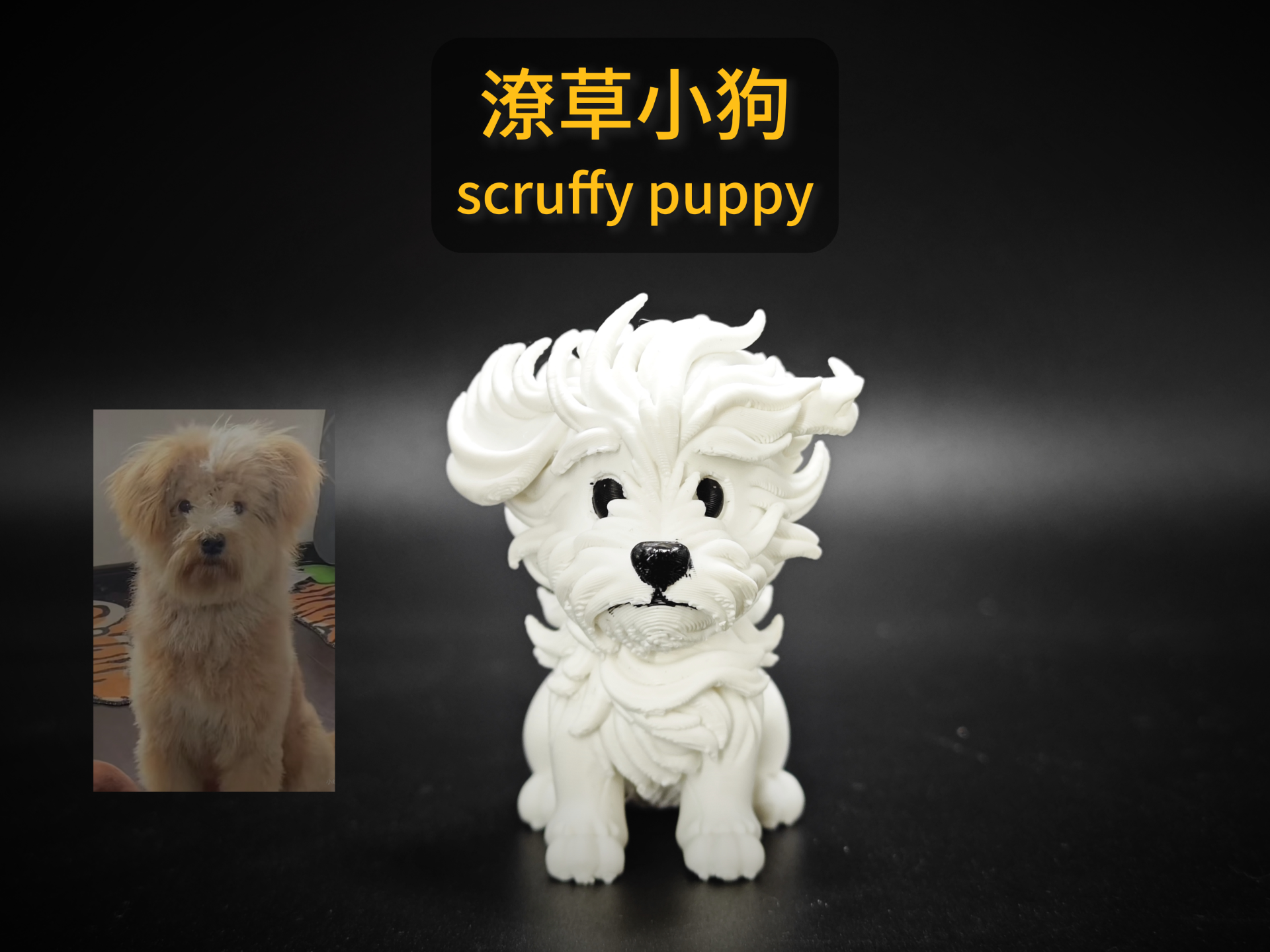 潦草小狗 scruffy puppy