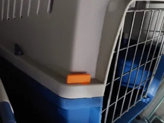 Schloss für Katzenbox