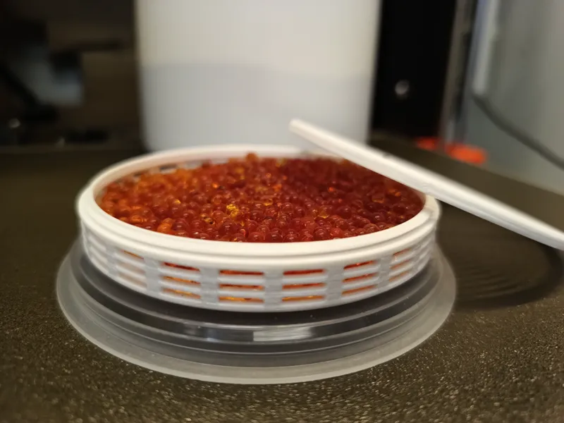 Jar Lid Silica Container - Slim