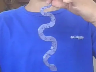 Flexi Snake