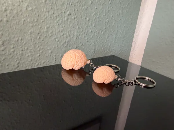 https://makerworld.bblmw.com/makerworld/model/US7b70dea3494a30/design/ecbd1bd5f2fbcab8.jpeg