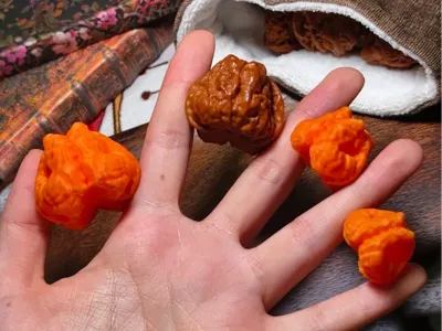Cyber Toad Head Walnut