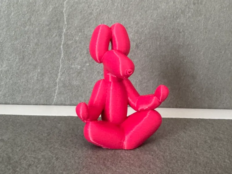 Cane palloncino Yoga 