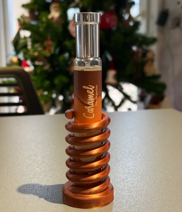 https://makerworld.bblmw.com/makerworld/model/US7b8bf34cc8b9fd/design/2024-12-30_e109049bbce66.jpeg