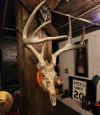 Skull Mount Wall Bracket