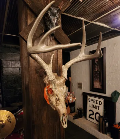 Skull Mount Wall Bracket 