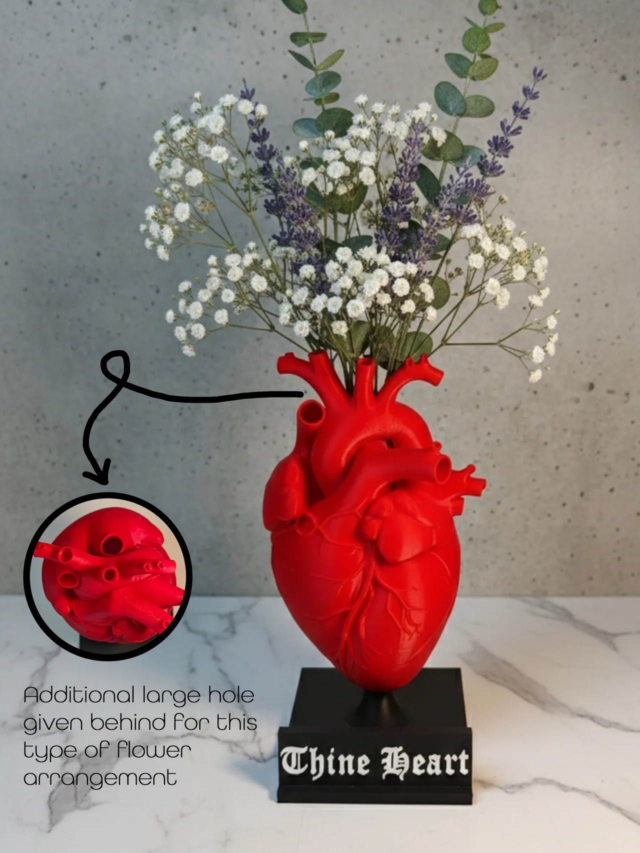 Heart Flower Vase (Anatomically Accurate) view 2