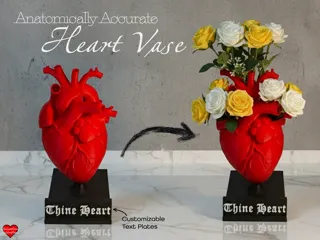 Heart Flower Vase (Anatomically Accurate)