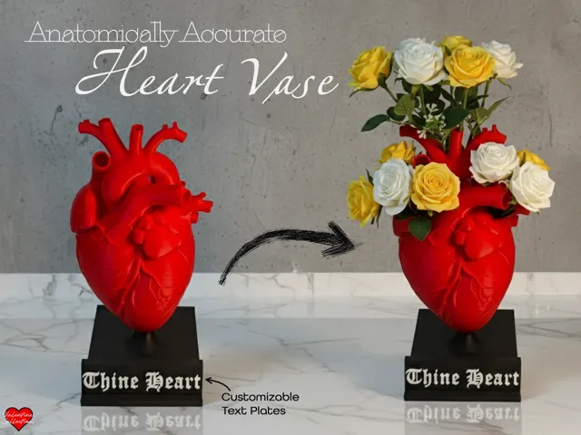 Heart Flower Vase (Anatomically Accurate)