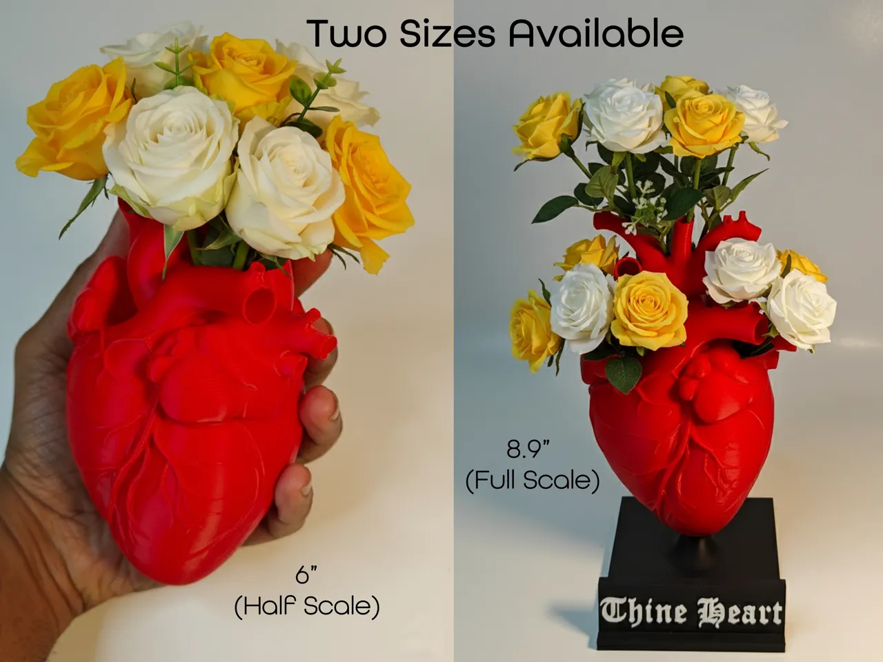Heart Flower Vase (Anatomically Accurate) view 3