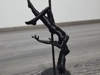 Pole dance sul palo