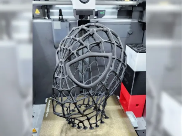 https://makerworld.bblmw.com/makerworld/model/US7b993e38ba36e7/design/2024-05-16_43e4145896764.jpg