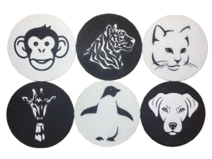 Animal Coaster Set – Add a Wild Touch to Your Home