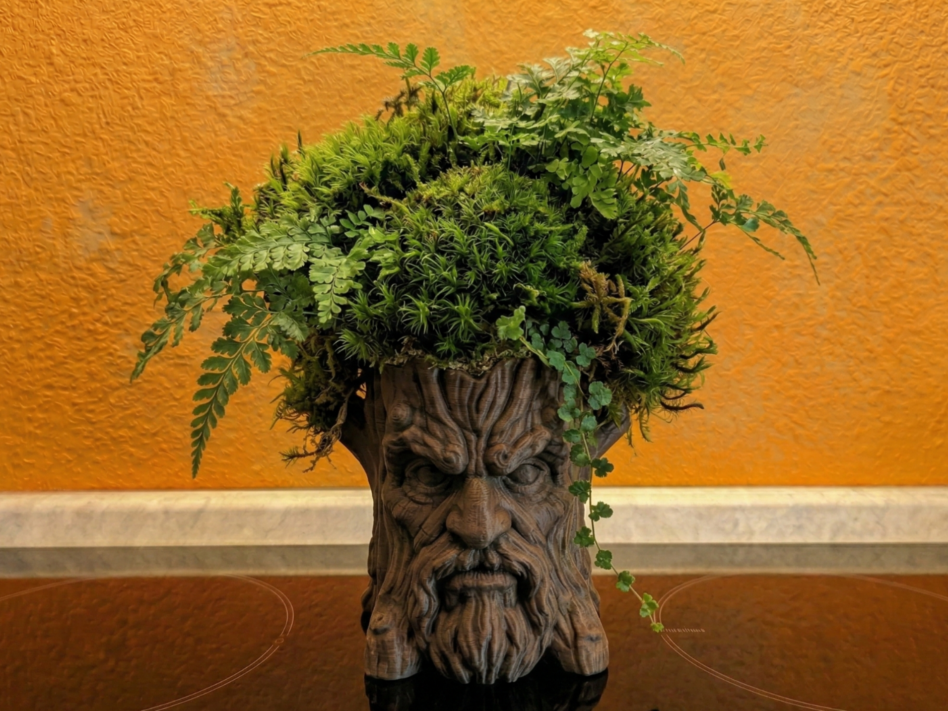 Old Man Tree - Compact planter o desktop organizer