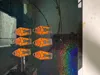 0.12mm layer, 3 walls, 15% infill