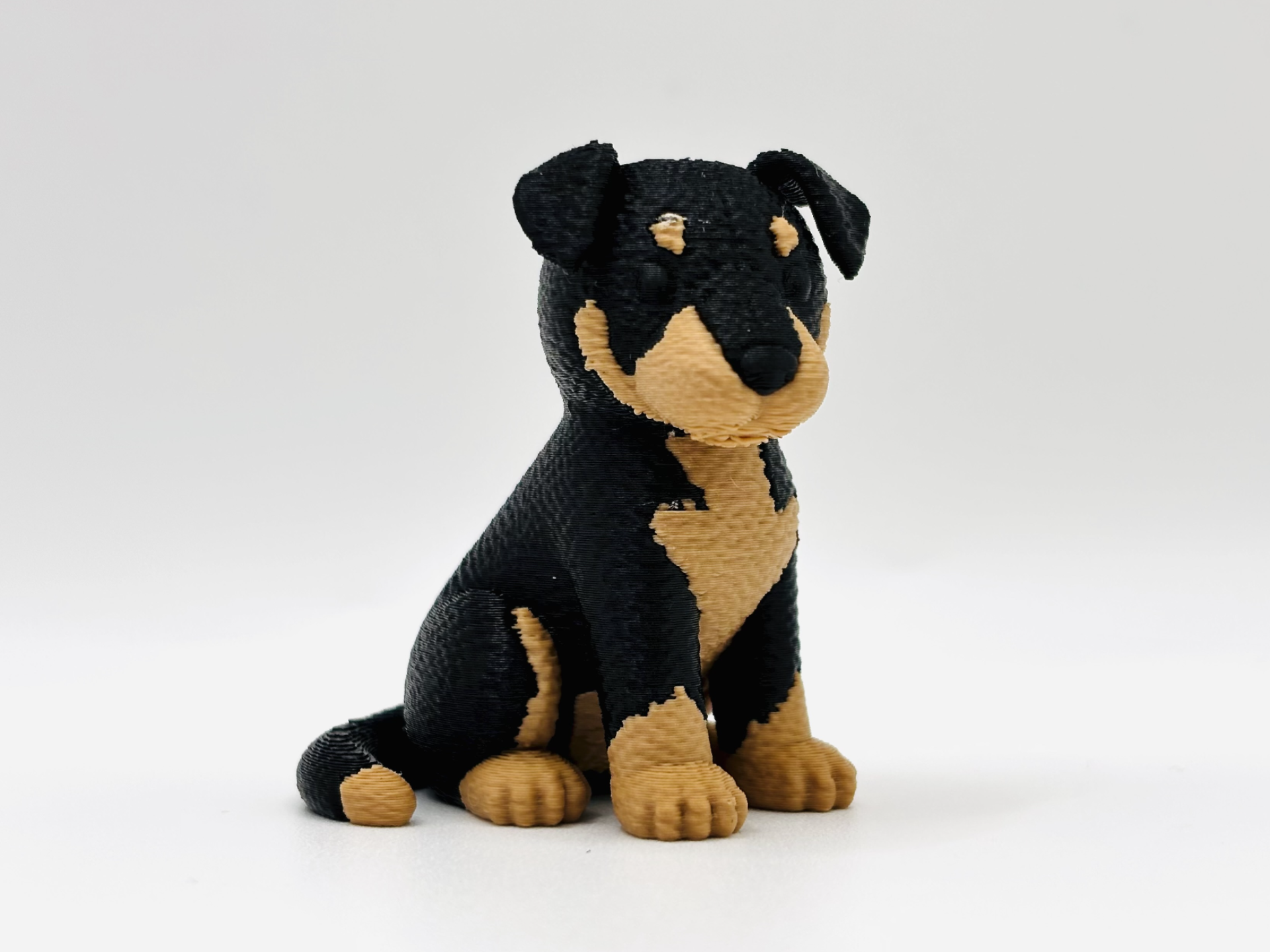 Knitted Beauceron Dog 3D model by Nabo