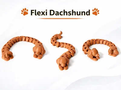 Flexi Dachshund – Cute Articulated Dog