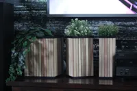220mm top